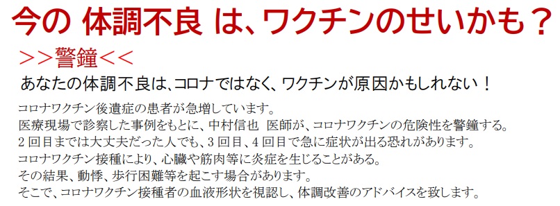 血液Viewシステム ロゴ